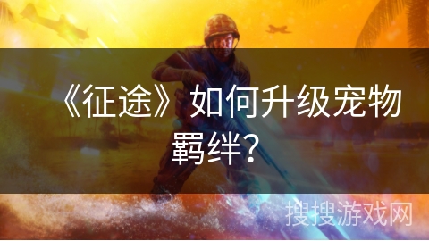 《征途》如何升级宠物羁绊？