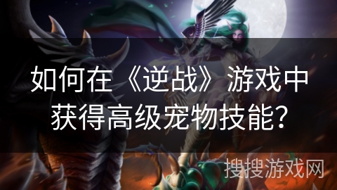 如何在《逆战》游戏中获得高级宠物技能? 如何在《逆战》游戏中获得高级宠物技能?