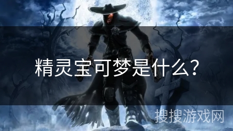 精灵宝可梦是什么？