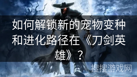 如何解锁新的宠物变种和进化路径在《刀剑英雄》？