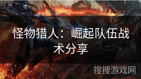 怪物猎人：崛起队伍战术分享