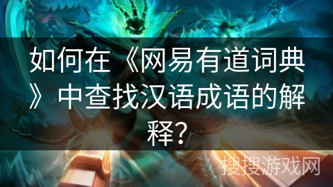 如何在《网易有道词典》中查找汉语成语的解释？