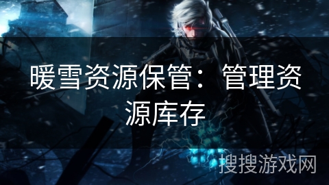 暖雪资源保管：管理资源库存
