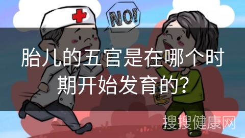 胎儿的五官是在哪个时期开始发育的？