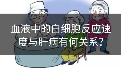 血液中的白细胞反应速度与肝病有何关系？