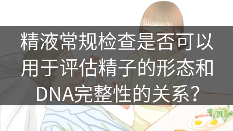 精液常规检查是否可以用于评估精子的形态和DNA完整性的关系？