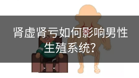 肾虚肾亏如何影响男性生殖系统？