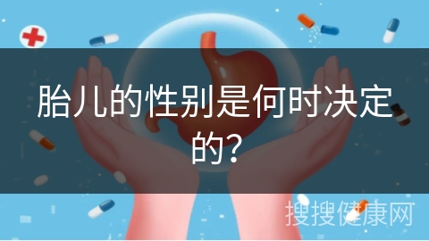 胎儿的性别是何时决定的？