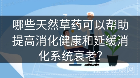 哪些天然草药可以帮助提高消化健康和延缓消化系统衰老？