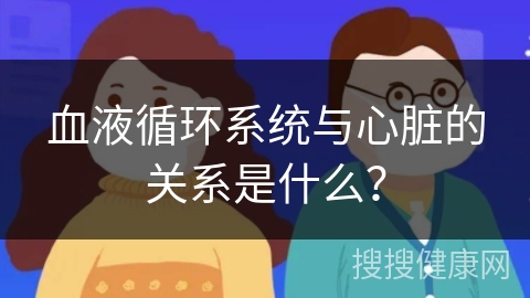 血液循环系统与心脏的关系是什么？