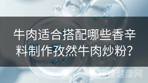 牛肉适合搭配哪些香辛料制作孜然牛肉炒粉？