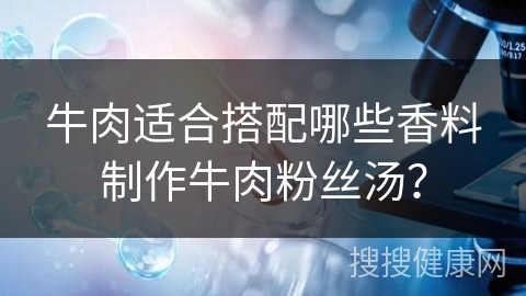 牛肉适合搭配哪些香料制作牛肉粉丝汤？