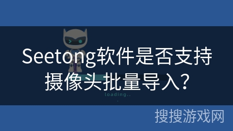 Seetong软件是否支持摄像头批量导入？