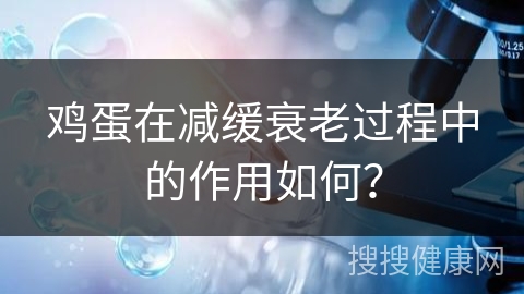 鸡蛋在减缓衰老过程中的作用如何？