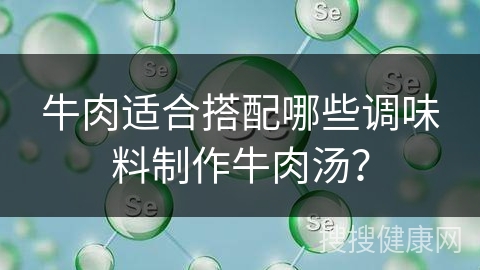 牛肉适合搭配哪些调味料制作牛肉汤？