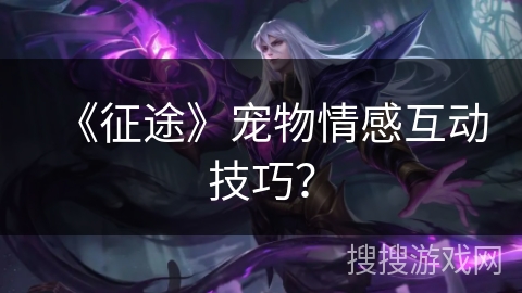 《征途》宠物情感互动技巧？