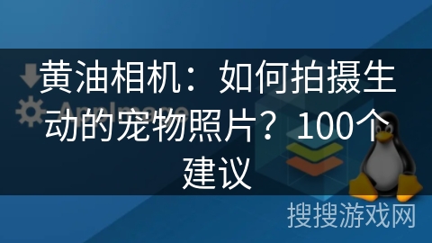 黄油相机：如何拍摄生动的宠物照片？100个建议