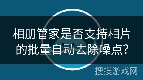 相册管家是否支持相片的批量自动去除噪点? 相册管家是否支持相片的批量自动去除噪点?