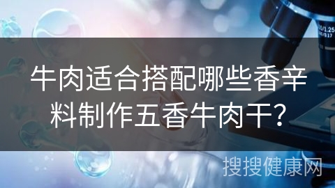 牛肉适合搭配哪些香辛料制作五香牛肉干？