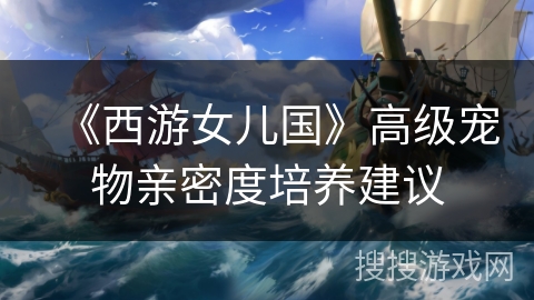 《西游女儿国》高级宠物亲密度培养建议 《西游女儿国》高级宠物亲密度培养建议