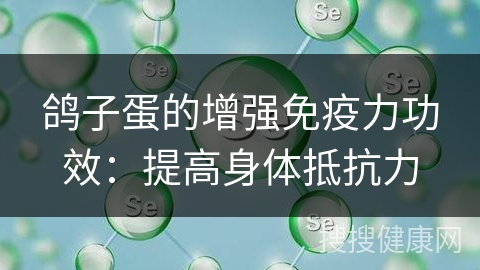 鸽子蛋的增强免疫力功效：提高身体抵抗力