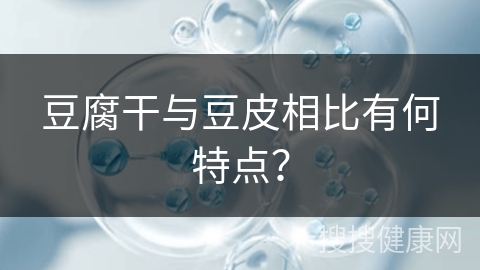 豆腐干与豆皮相比有何特点？