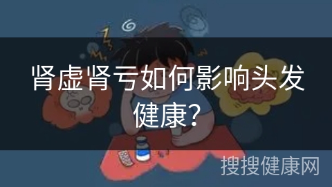 肾虚肾亏如何影响头发健康？