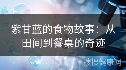 紫甘蓝的食物故事：从田间到餐桌的奇迹