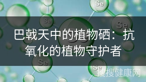 巴戟天中的植物硒：抗氧化的植物守护者