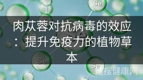 肉苁蓉对抗病毒的效应：提升免疫力的植物草本