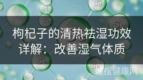 枸杞子的清热祛湿功效详解：改善湿气体质