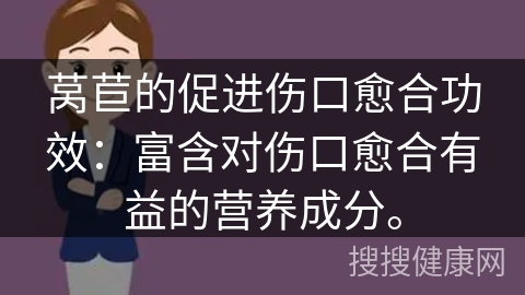 莴苣的促进伤口愈合功效：富含对伤口愈合有益的营养成分。