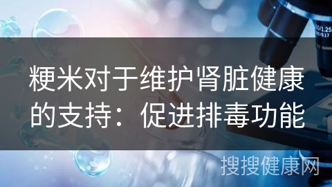 粳米对于维护肾脏健康的支持：促进排毒功能