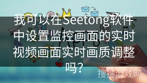 我可以在Seetong软件中设置监控画面的实时视频画面实时画质调整吗？