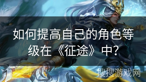如何提高自己的角色等级在《征途》中？