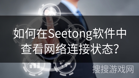 如何在Seetong软件中查看网络连接状态？