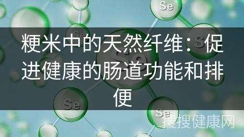 粳米中的天然纤维：促进健康的肠道功能和排便