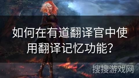 如何在有道翻译官中使用翻译记忆功能？
