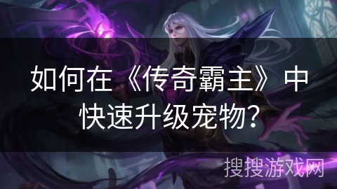 如何在《传奇霸主》中快速升级宠物? 如何在《传奇霸主》中快速升级宠物?