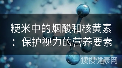 粳米中的烟酸和核黄素：保护视力的营养要素