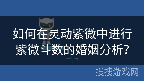 如何在灵动紫微中进行紫微斗数的婚姻分析？