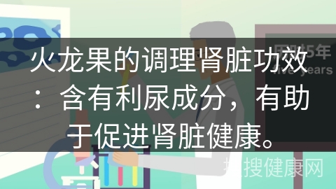 火龙果的调理肾脏功效：含有利尿成分，有助于促进肾脏健康。