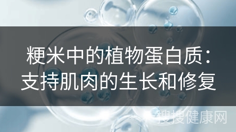 粳米中的植物蛋白质：支持肌肉的生长和修复