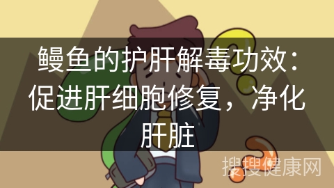 鳗鱼的护肝解毒功效：促进肝细胞修复，净化肝脏