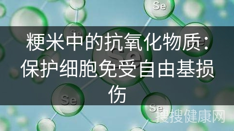 粳米中的抗氧化物质：保护细胞免受自由基损伤