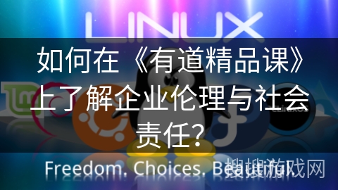 如何在《有道精品课》上了解企业伦理与社会责任？