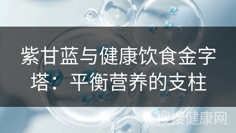 紫甘蓝与健康饮食金字塔：平衡营养的支柱