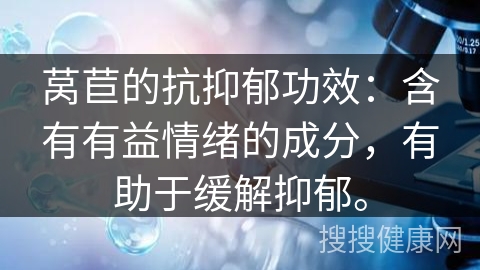 莴苣的抗抑郁功效：含有有益情绪的成分，有助于缓解抑郁。