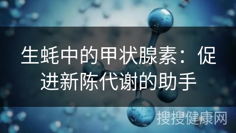 生蚝中的甲状腺素：促进新陈代谢的助手