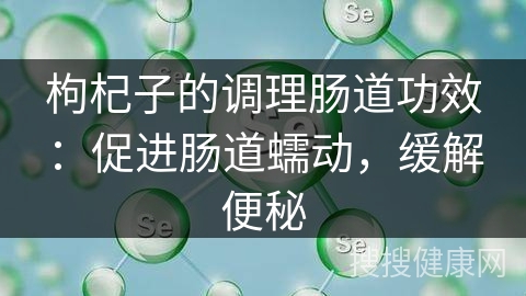 枸杞子的调理肠道功效：促进肠道蠕动，缓解便秘